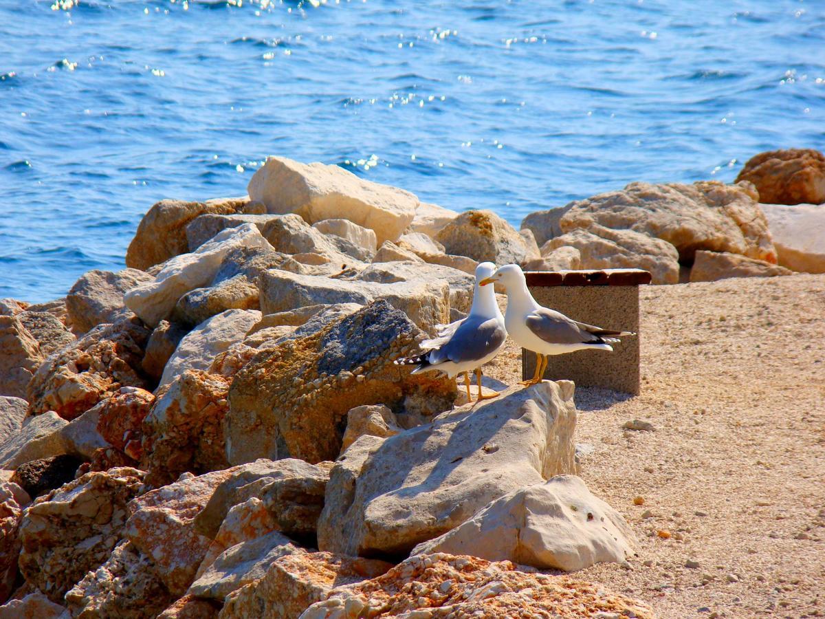 Apartments Ban Dugi Rat Εξωτερικό φωτογραφία